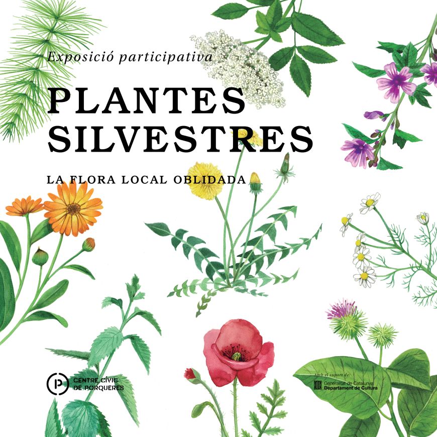 PLANTES SILVESTRES. LA FLORA LOCAL OBLIDADA · Díptic digital